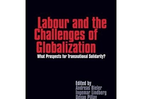 Labour and the Challenges of Globalization. What Prospects For Transnational Solidarity? - Andreas Bieler, Ingemar Lindberg, Devan Pillay