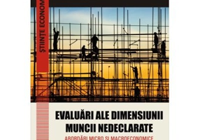 Evaluari ale dimensiunii muncii nedeclarate. Abordari micro si macroeconomice - Larisa Stanila