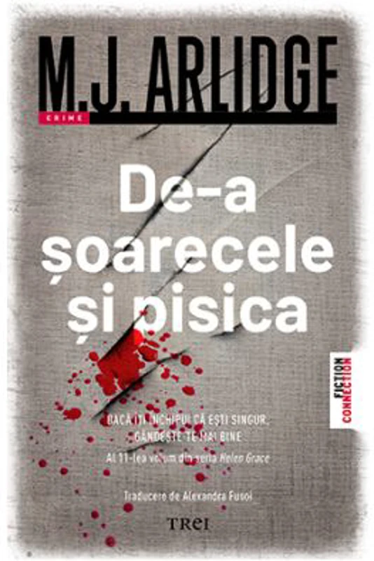 De-a soarecele si pisica