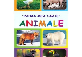 Prima mea carte. Animale