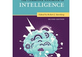 The Cambridge Handbook of Intelligence - Robert J. Sternberg
