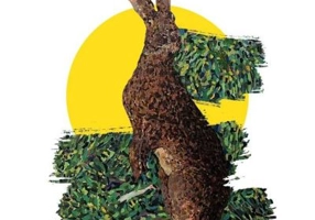 Sketchbook. Cauia Iepure