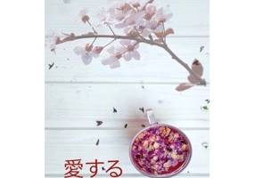 Ai Suru. A iubi vol. 1