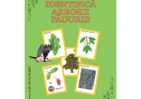 Identifica arborii padurii