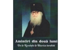 Amintiri din doua lumi - Vasili Krivosein