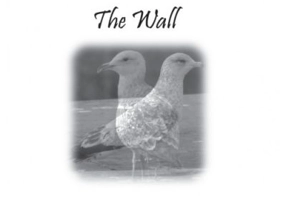The Wall