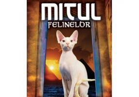 Mitul felinelor - Irina Petrovai