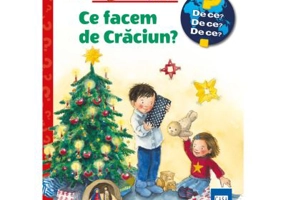 Ce facem de Craciun? - Andrea Erne