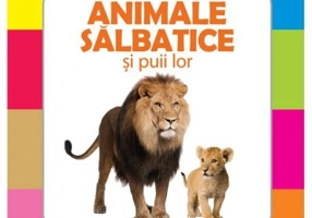 Animale salbatice si puii lor