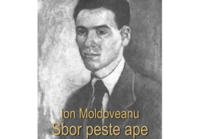 Sbor peste ape - Ion Moldoveanu