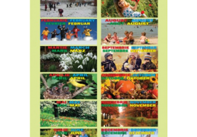 Lunile Anului. Plansa educationala