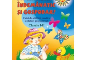 FII CREATIV, INDEMANATIC SI GOSPODAR. Caiet de abilitati practice si sfaturi gospodaresti. Clasele 1-2