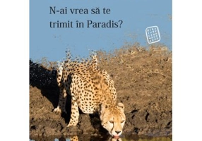N-ai vrea sa te trimit in Paradis? - Daniel Banulescu