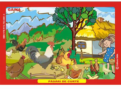 Pasari de curte. Gaina, Curca, Rata, Gasca - Eleonora Negru