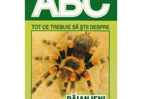 Tot ce trebuie sa stii despre PAIANJENI