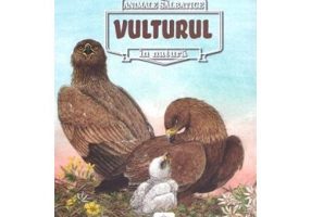 Animale salbatice in natura. Vulturul - Renne