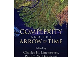 Complexity and the Arrow of Time - Charles H. Lineweaver, Paul C. W. Davies, Michael Ruse