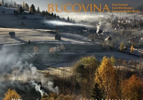 Album Bucovina, Tara Fagilor. Romana, engleza, germana