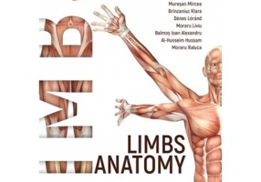 Limbs anatomy - Mircea Muresan
