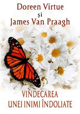 Vindecarea unei inimi indoliate - Doreen Virtue, James van Praagh
