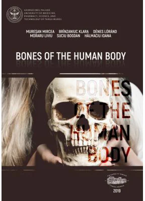 Bones of the human body - Mircea Muresan