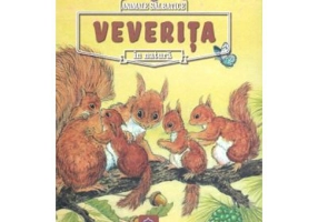 Animale salbatice in natura. Veverita - Renne