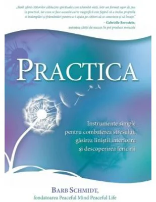 Practica. Instrumente simple pentru combaterea stresului, gasirea linistii interioare si descoperirea fericirii