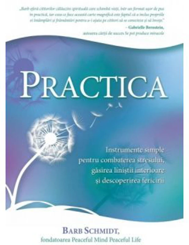 Practica. Instrumente simple pentru combaterea stresului, gasirea linistii interioare si descoperirea fericirii