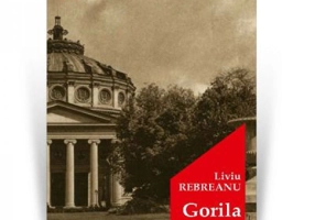Gorila
