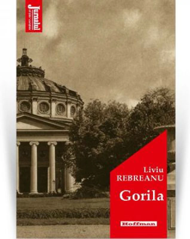 Gorila