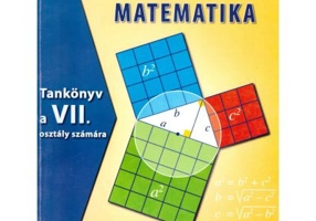 Matematica. Manual pentru clasa a 7-a in limba maghiara - Mihaela Singer