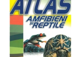 Mic atlas Amfibieni si reptile