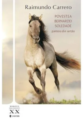 Povestea Bernardei Soledade - Raimundo Carrero