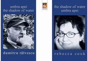 Umbra apei. The shadow of water