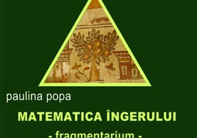 Matematica ingerului. Fragmentarium
