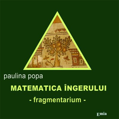 Matematica ingerului. Fragmentarium