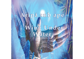 Aripa sub ape. Wing under water