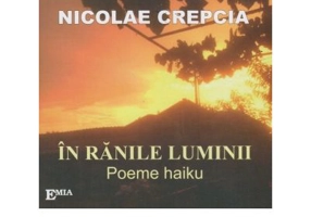 In ranile luminii. Poeme haiku