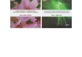 Lumina din noi - Floare de cais. Pe toate fulgerul le gusta doar o data