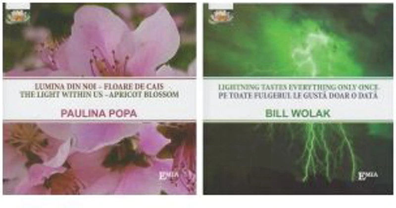 Lumina din noi - Floare de cais. Pe toate fulgerul le gusta doar o data