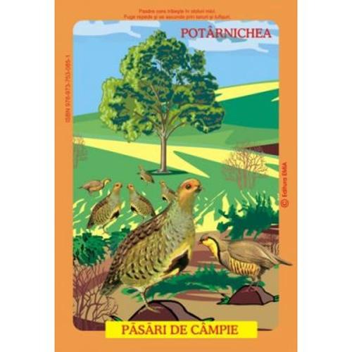 Pasari din fauna Romaniei care traiesc la campie