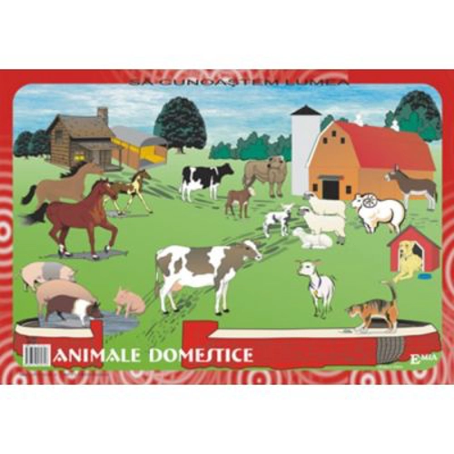 Sa cunoastem lumea. Lecturi dupa imagini