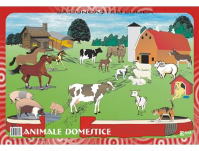 Sa cunoastem lumea. Lecturi dupa imagini