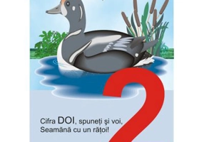 Cifrele hazlii. Scara numerelor