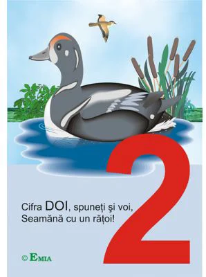 Cifrele hazlii. Scara numerelor