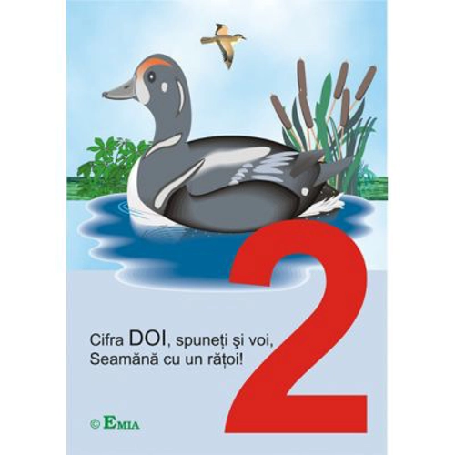 Cifrele hazlii. Scara numerelor