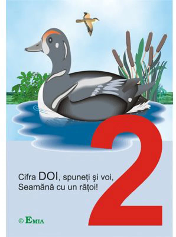 Cifrele hazlii. Scara numerelor