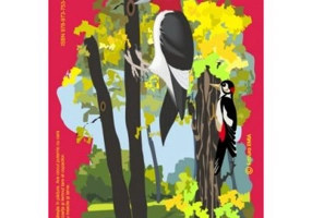 Pasari din fauna Romaniei care traiesc in padure