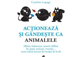 Actioneaza si gandeste ca animalele. Albine, buburuze, castori, delfini, lei, pesti, suricate, veverite... avem atatea lucruri de invatat de la ele -
