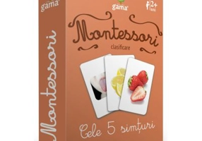 Carti de joc Montessori. Cele 5 simturi